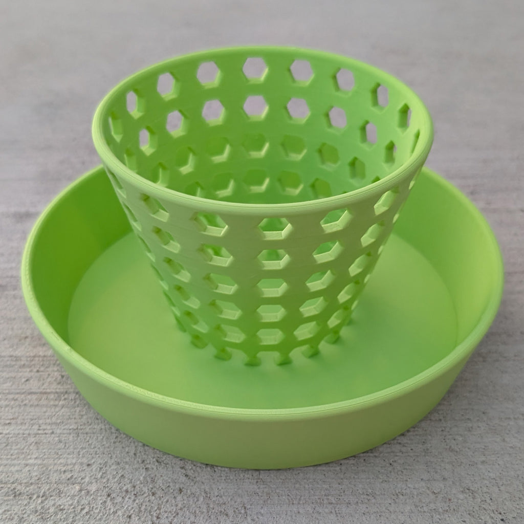 Venus Flytrap Pot with Built-In Water Tray